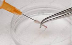 从骨头粗的一端插针，搅动、冲洗骨髓