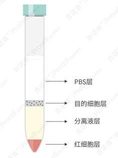 液面分层参考图
